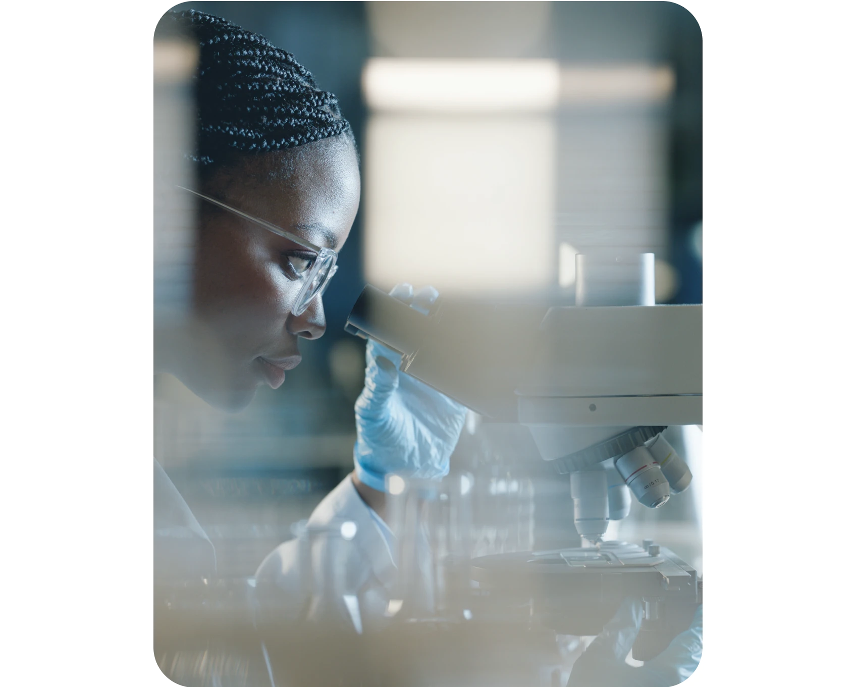 Informações sobre o tratamento